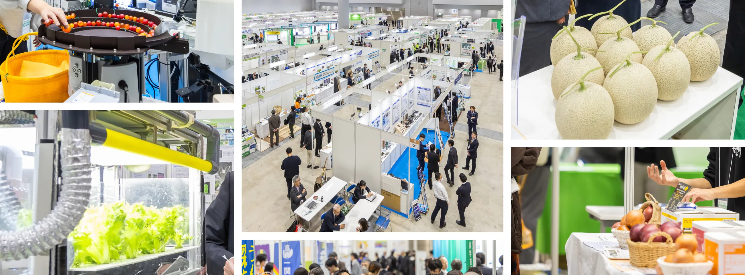 アグリビジネス創出フェア2025メインビジュアル背景